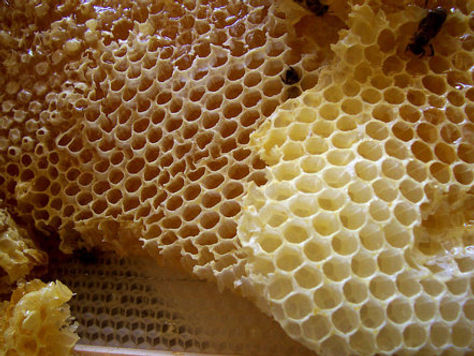 beeswax for skincare