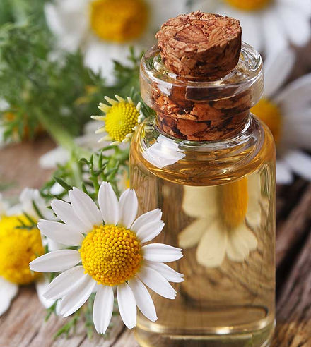 Chamomile Oil for skincare
