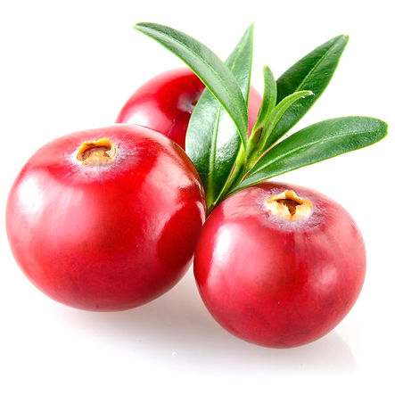 Cranberry Seed Oil for skincare