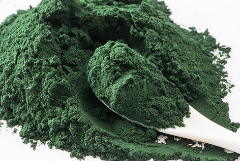 blue green algae for skincare