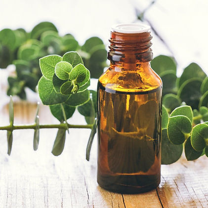Eucalyptus Oil for skincare