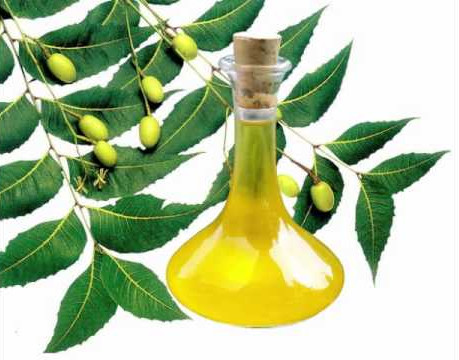 neem oil for skincare