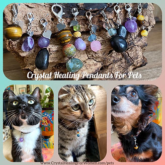pet-pendant-covershoot