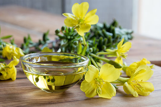 Evening primrose oil for skincare