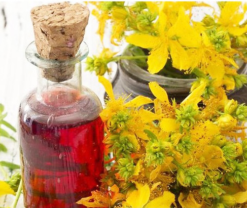 st john's wort oil for skincare
