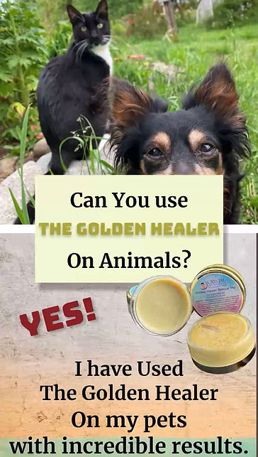 The-Golden_Healer-For-Pets