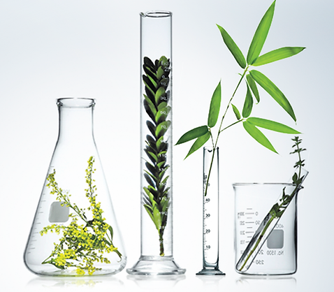 alcohol in skincare