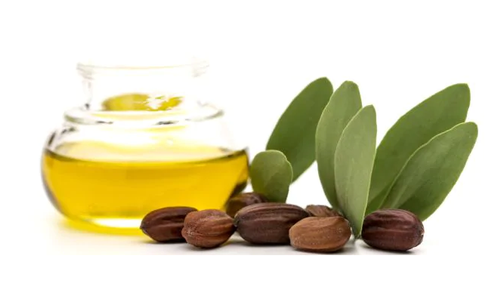 jojoba seed oil for skincare